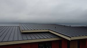 Best Rubber Roofing (EPDM, TPO)  in Cleora, OK